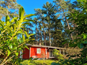 Waldhaus Dötlingen Ferienhaus im Naturpark